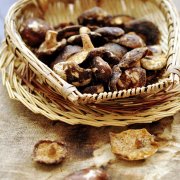 菌類真空低溫脫水